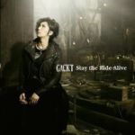 Stay the Ride Alive CD+DVD Single