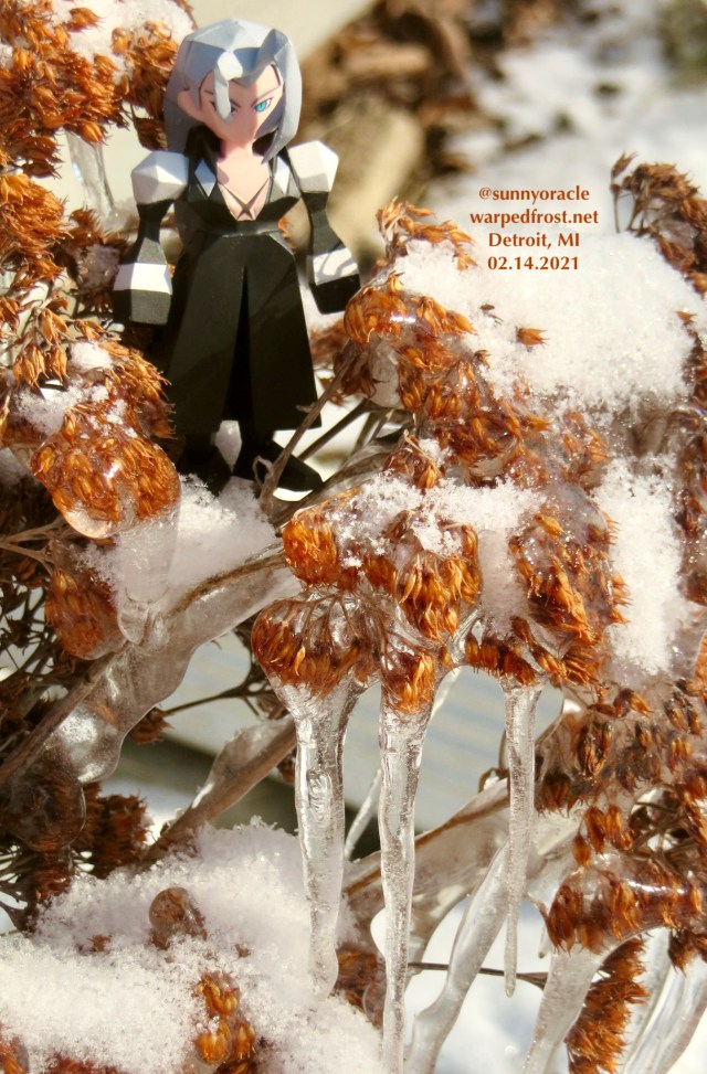 A Polygon Figure of Sephiroth in the same frozen sedum. The sun was really shining through the icicles in this shot.