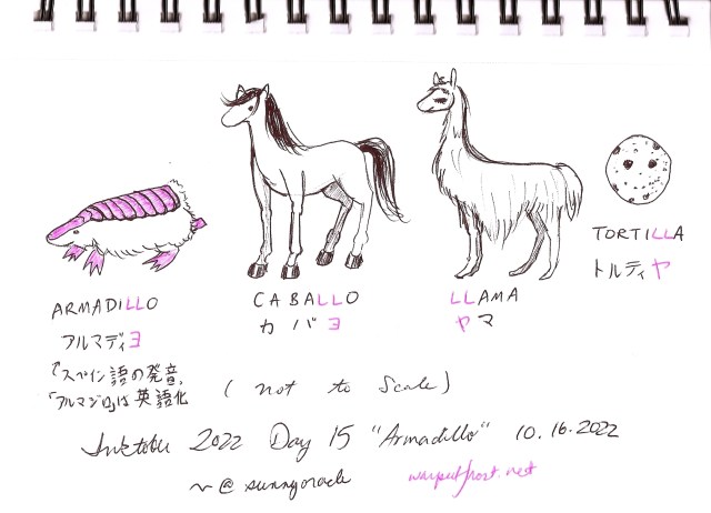 Small illustrations of three animals and one object that are written with "ll" in Spanish: a pink fairy armadillo, a horse (caballo), a llama, and a tortilla. Phonetic pronunciation is given in katakana below the names in Spanish, with a note in Japanese saying that "arumajiro" is based on English pronunciation. 